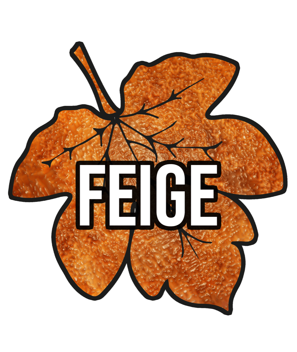 Feige